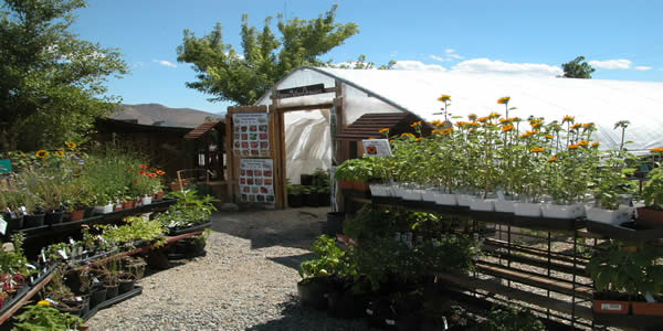 Organic Programs Organic Programs