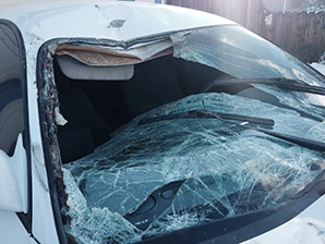 A vehicle was totaled after a collision with a horse near Dayton in Feb. 2014.