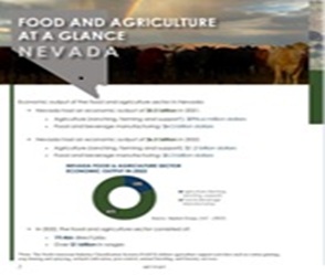 Helpful Links & Economic Reports