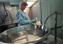 Milk and Dairy Safety