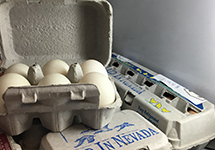 FAQs about Selling eggs in Nevada