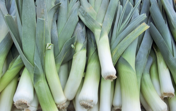 Photo of a pile of leeks.
