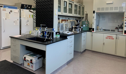 Saeed Lab Seed Laboratory